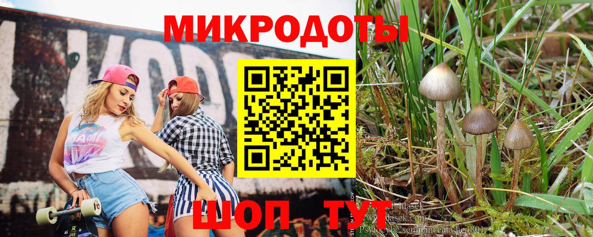 Псилоцибиновые грибы Cubensis  Вход с VPN  Коряжма 